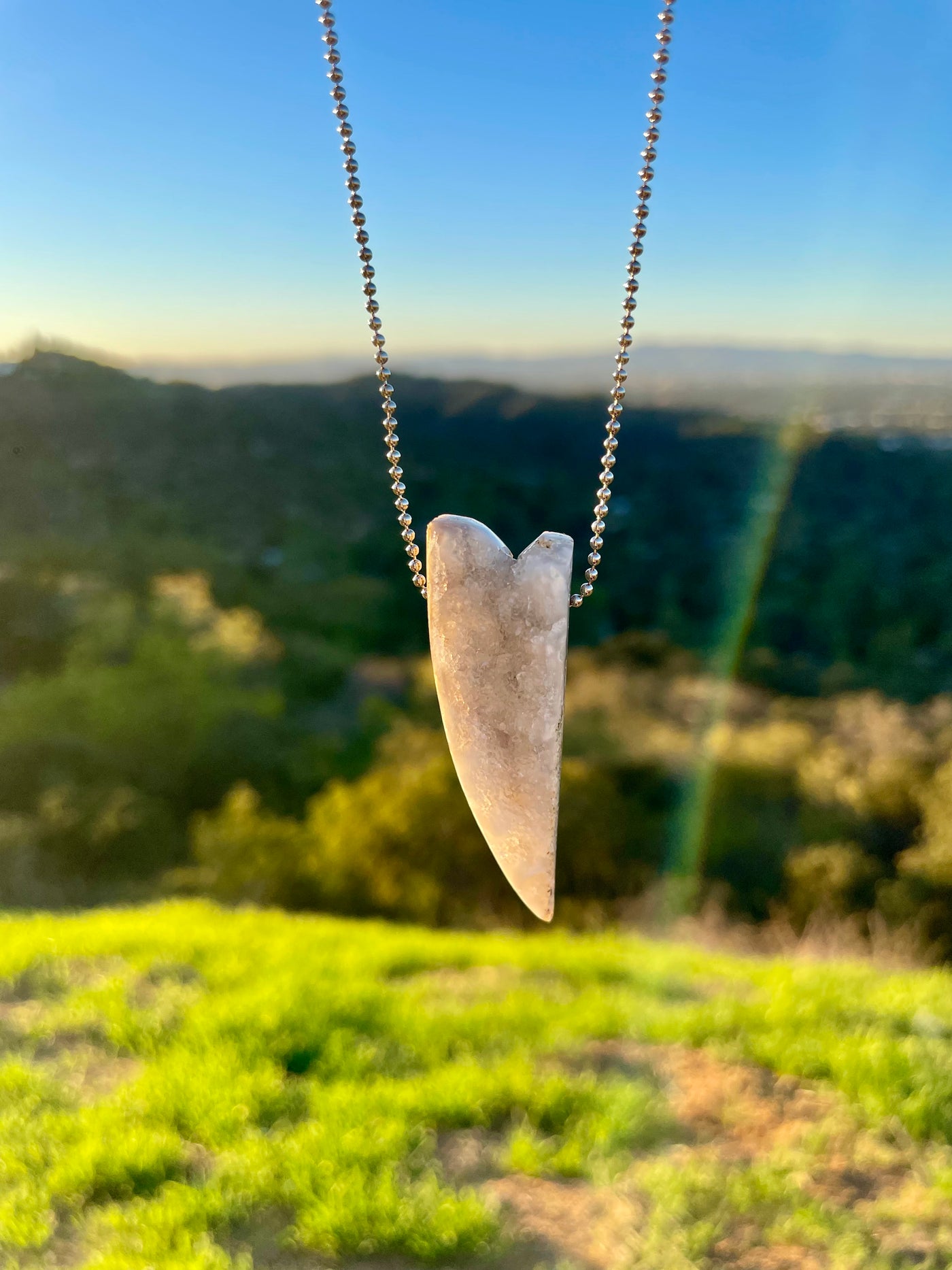 Agatized Druzy Coral Pendant