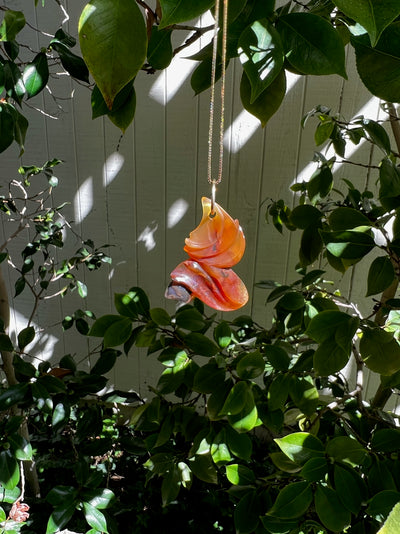 Brazilian Agate Carved Pendant