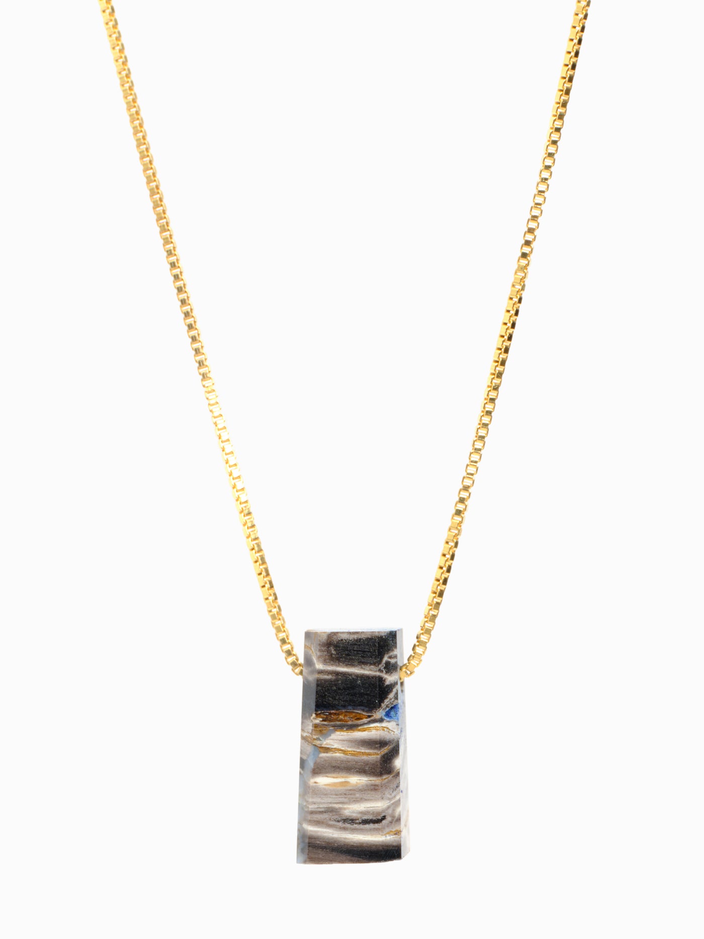 Petrified Tiger Wood Pendant