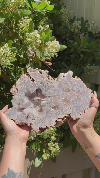 Flower Agate Druzy Plate