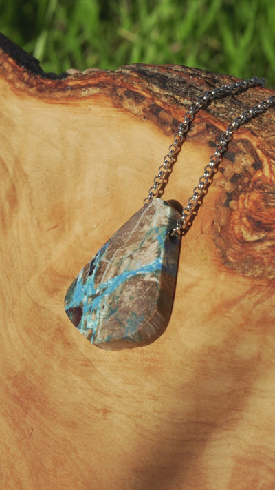 Collawood (Petrified Wood) Pendant (Rare)